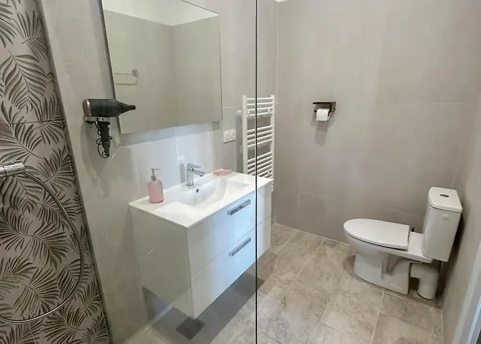 Face Cite - D'hotes - Parking & Garage Gratuit - Wi-fi Gratuit Carcassonne